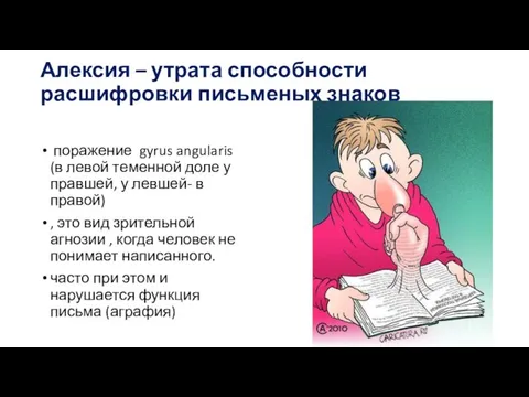 Алексия – утрата способности расшифровки письменых знаков поражение gyrus angularis (в