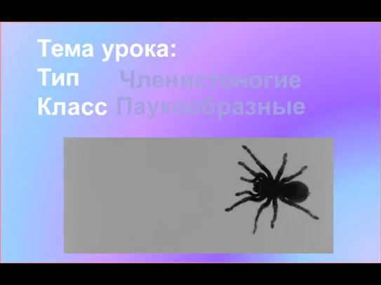 Тема урока: Тип Класс Членистоногие Паукообразные