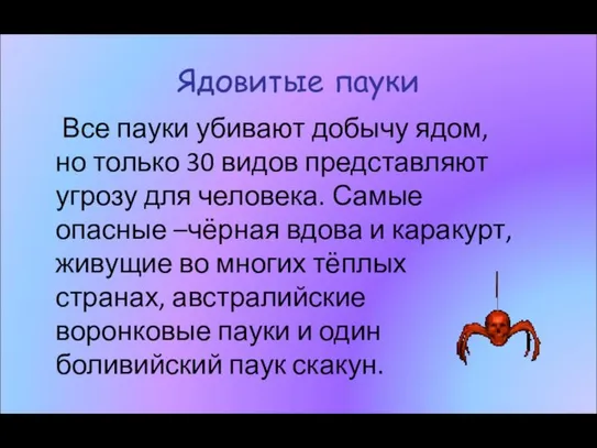 Ядовитые пауки Все пауки убивают добычу ядом, но только 30 видов