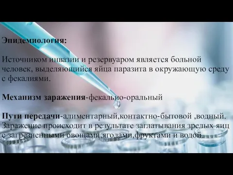 Эпидемиология: Источником инвазии и резервуаром является больной человек, выделяющийся яйца паразита