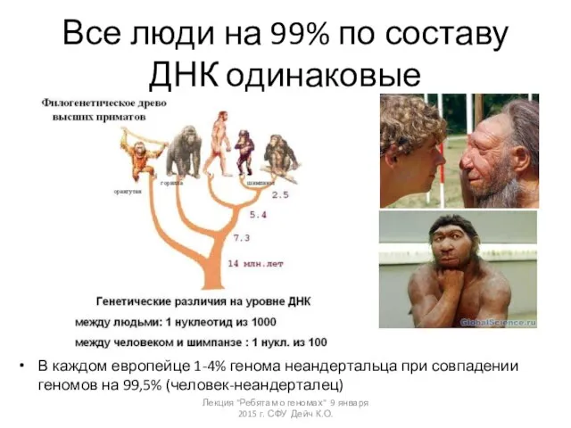 Все люди на 99% по составу ДНК одинаковые В каждом европейце