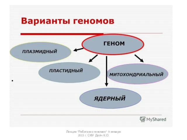 Лекция "Ребятам о геномах" 9 января 2015 г. СФУ Дейч К.О.