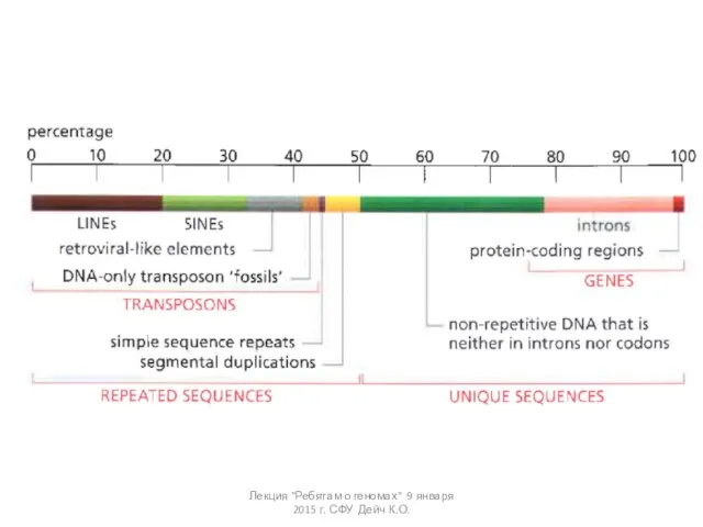 Лекция "Ребятам о геномах" 9 января 2015 г. СФУ Дейч К.О.