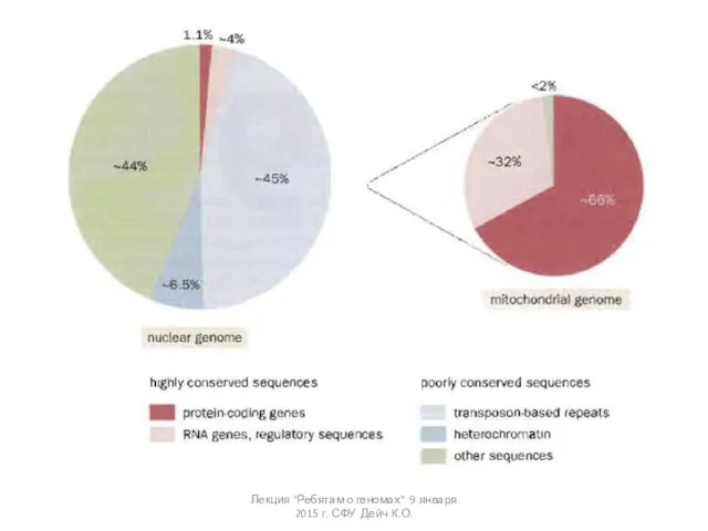 Лекция "Ребятам о геномах" 9 января 2015 г. СФУ Дейч К.О.