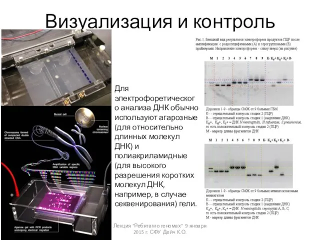 Визуализация и контроль Лекция "Ребятам о геномах" 9 января 2015 г.