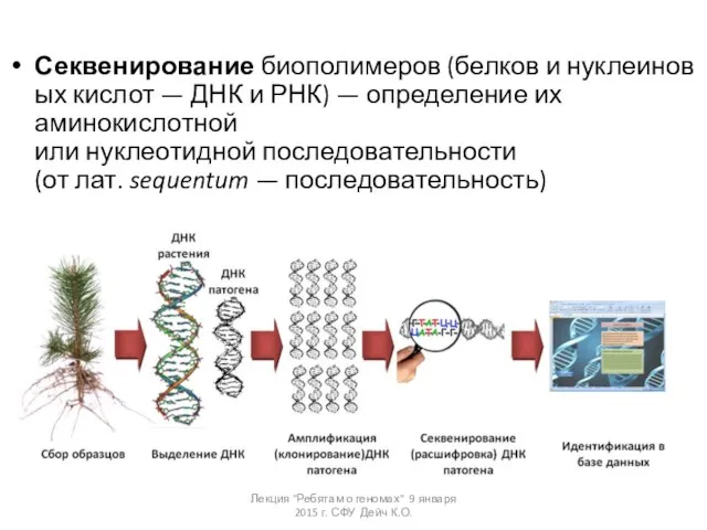 Секвенирование биополимеров (белков и нуклеиновых кислот — ДНК и РНК) —
