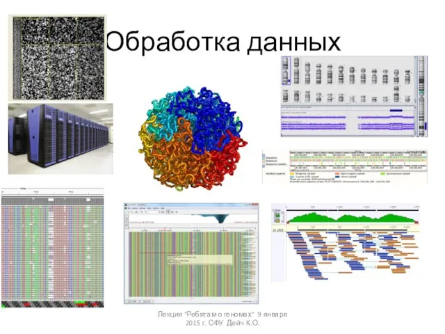 Обработка данных Лекция "Ребятам о геномах" 9 января 2015 г. СФУ Дейч К.О.