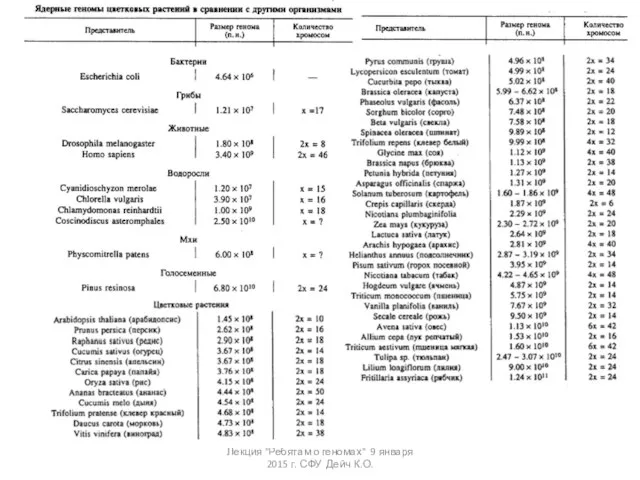 Лекция "Ребятам о геномах" 9 января 2015 г. СФУ Дейч К.О.