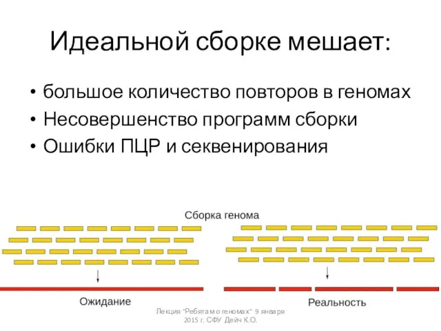 Идеальной сборке мешает: большое количество повторов в геномах Несовершенство программ сборки