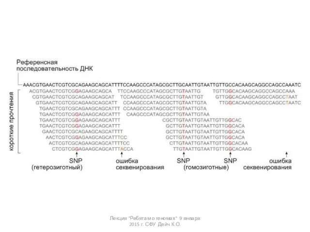 Лекция "Ребятам о геномах" 9 января 2015 г. СФУ Дейч К.О.