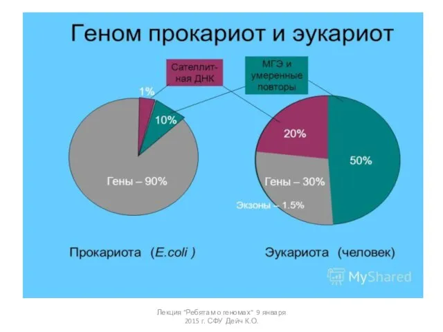 Лекция "Ребятам о геномах" 9 января 2015 г. СФУ Дейч К.О.