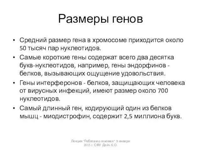 Размеры генов Средний размер гена в хромосоме приходится около 50 тысяч