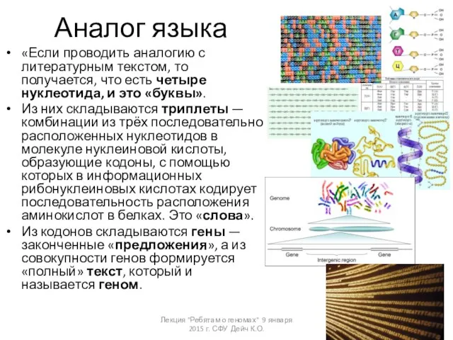 Аналог языка «Если проводить аналогию с литературным текстом, то получается, что