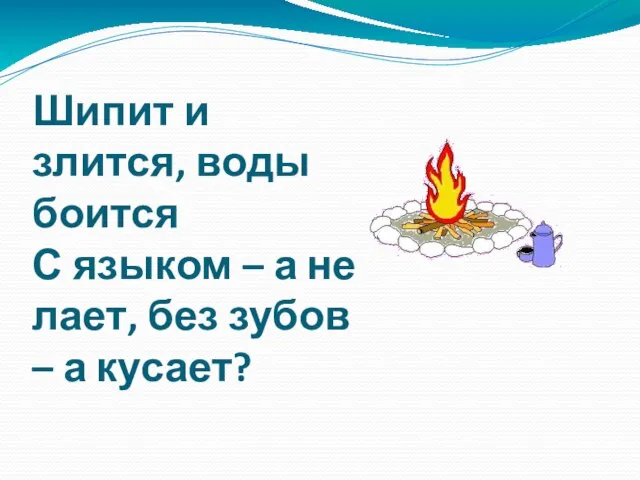 Шипит и злится, воды боится С языком – а не лает, без зубов – а кусает?