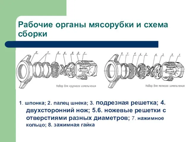 Рабочие органы мясорубки и схема сборки 1. шпонка; 2. палец шнека;