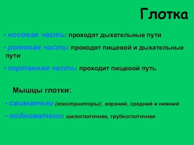 Глотка носовая часть: проходят дыхательные пути ротовая часть: проходят пищевой и