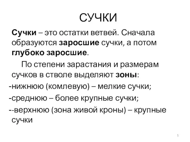 СУЧКИ Сучки – это остатки ветвей. Сначала образуются заросшие сучки, а