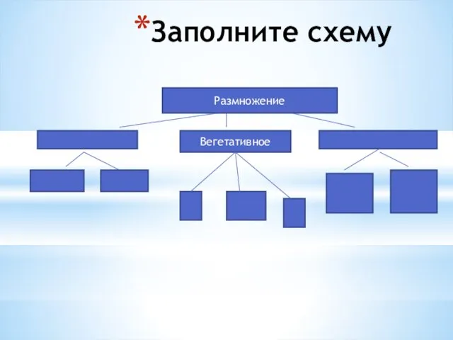 Заполните схему Размножение Вегетативное