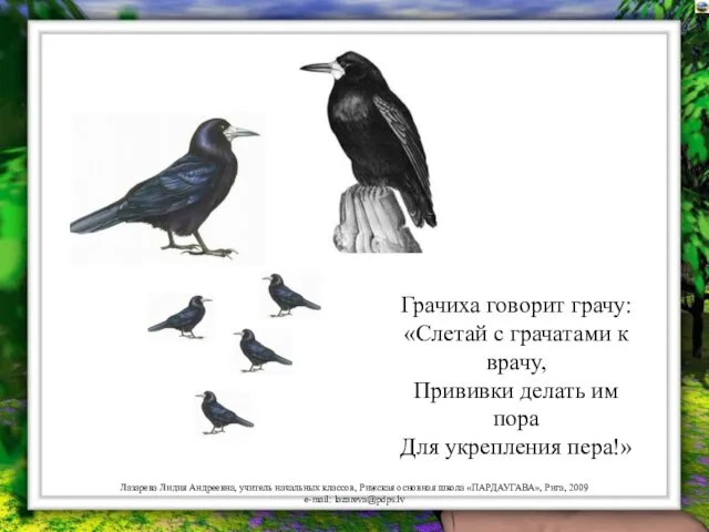 Грачиха говорит грачу: «Слетай с грачатами к врачу, Прививки делать им пора Для укрепления пера!»