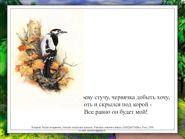 Я по дереву стучу, червячка добыть хочу, Хоть и скрылся под