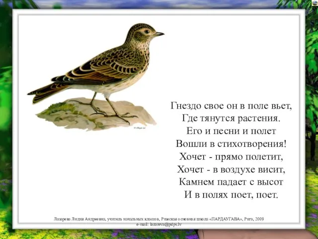 Гнездо свое он в поле вьет, Где тянутся растения. Его и