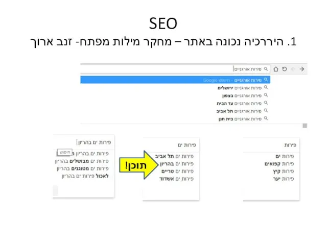 SEO 1. היררכיה נכונה באתר – מחקר מילות מפתח- זנב ארוך תוכן!