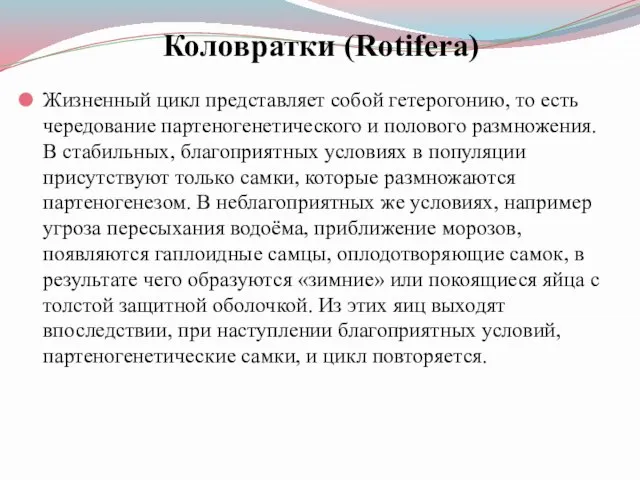 Коловратки (Rotifera) Жизненный цикл представляет собой гетерогонию, то есть чередование партеногенетического