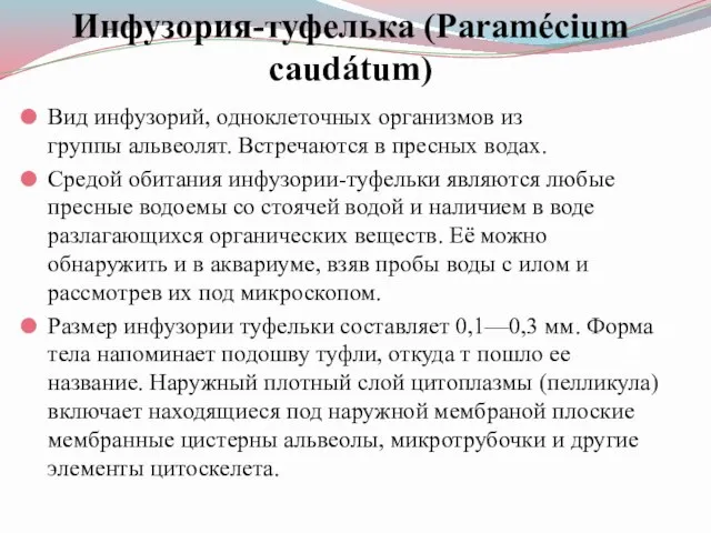 Инфузория-туфелька (Paramécium caudátum) Вид инфузорий, одноклеточных организмов из группы альвеолят. Встречаются