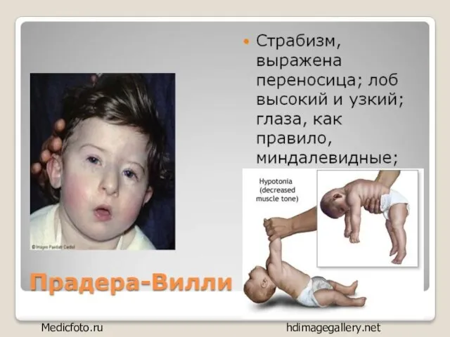 Medicfoto.ru hdimagegallery.net