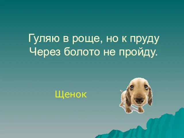 Гуляю в роще, но к пруду Через болото не пройду. Щенок