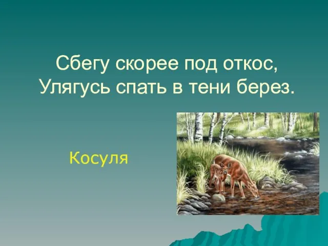 Сбегу скорее под откос, Улягусь спать в тени берез. Косуля