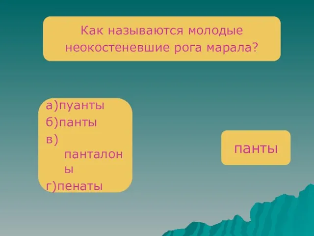 Как называются молодые неокостеневшие рога марала? а)пуанты б)панты в)панталоны г)пенаты панты