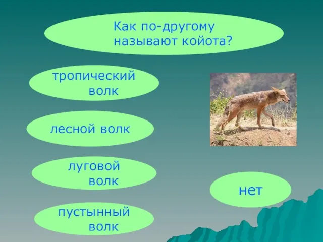 Как по-другому называют койота? нет тропический волк лесной волк луговой волк пустынный волк