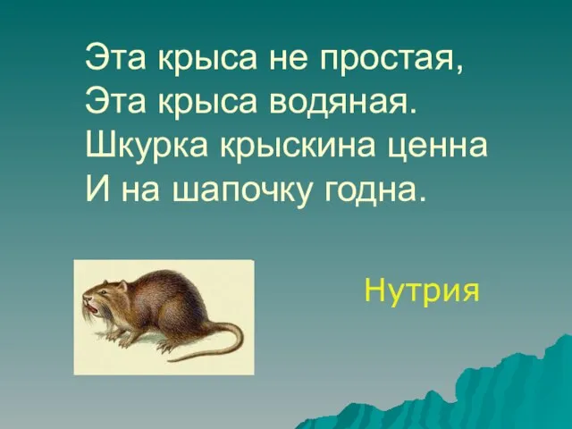 Эта крыса не простая, Эта крыса водяная. Шкурка крыскина ценна И на шапочку годна. Нутрия