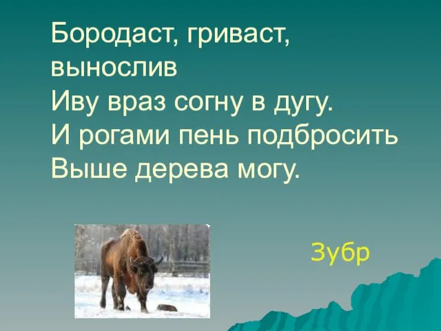 Бородаст, гриваст, вынослив Иву враз согну в дугу. И рогами пень подбросить Выше дерева могу. Зубр