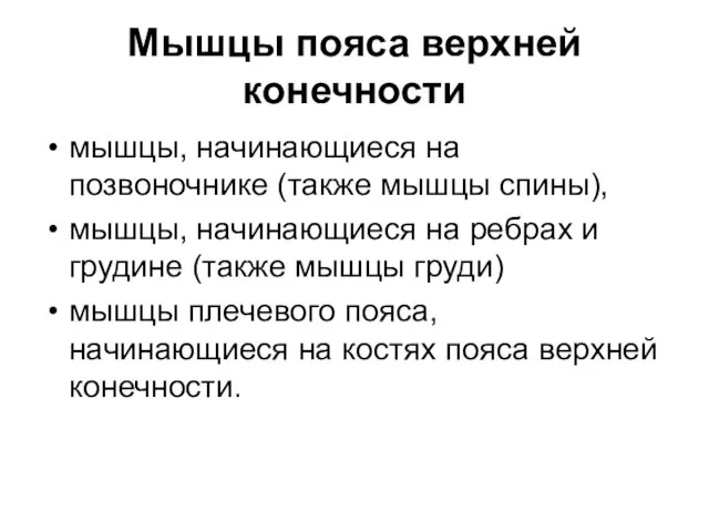 Мышцы пояса верхней конечности мышцы, начинающиеся на позвоночнике (также мышцы спины),