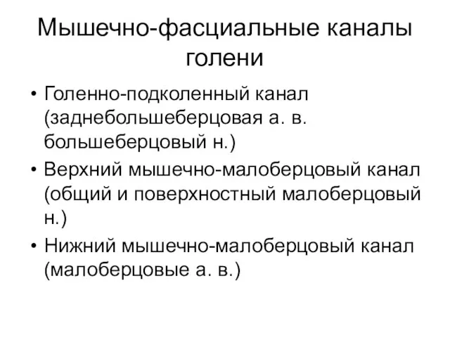 Мышечно-фасциальные каналы голени Голенно-подколенный канал (заднебольшеберцовая а. в. большеберцовый н.) Верхний