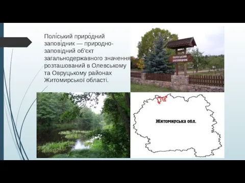 Полі́ський приро́дний запові́дник — природно-заповідний об'єкт загальнодержавного значення, розташований в Олевському та Овруцькому районах Житомирської області.