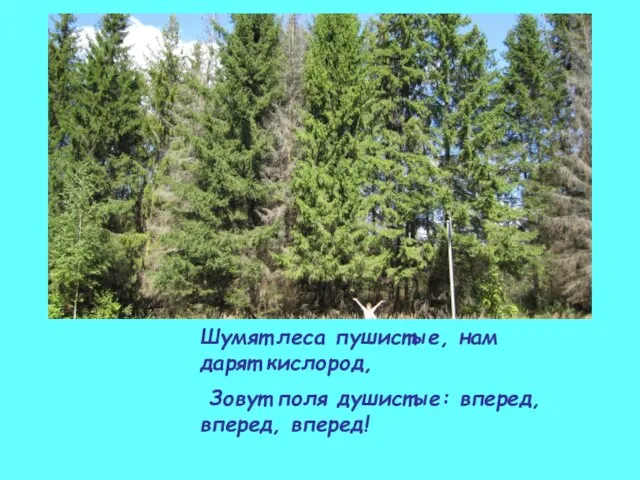 Шумят леса пушистые, нам дарят кислород, Зовут поля душистые: вперед, вперед, вперед!