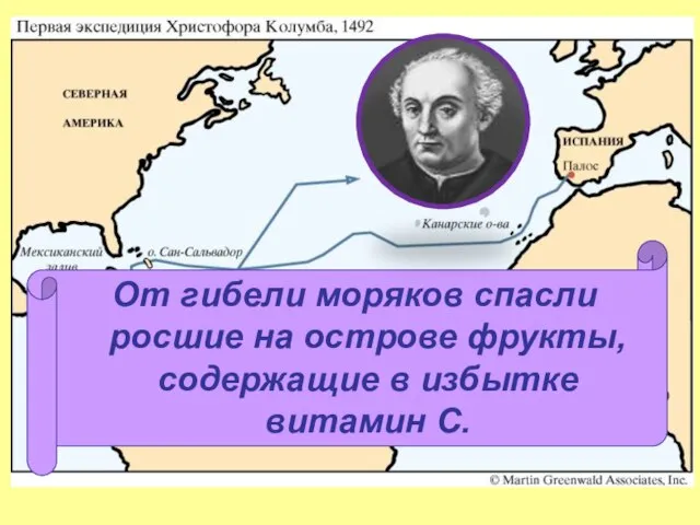 От гибели моряков спасли росшие на острове фрукты, содержащие в избытке витамин С.