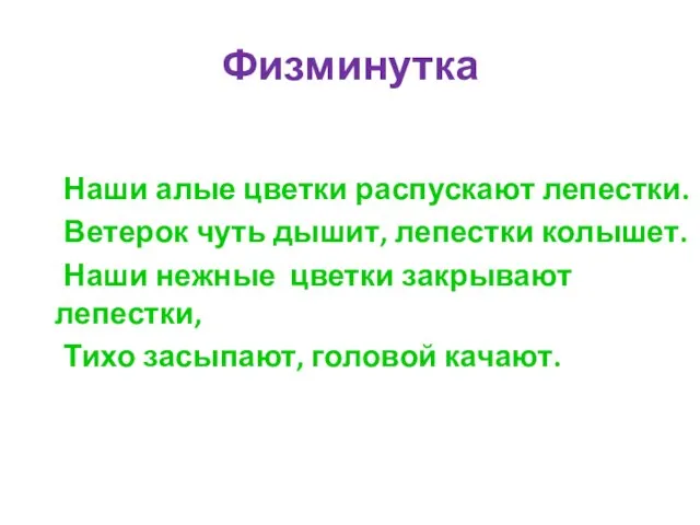 Физминутка Наши алые цветки распускают лепестки. Ветерок чуть дышит, лепестки колышет.