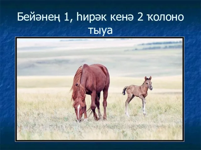 Бейәнең 1, һирәк кенә 2 ҡолоно тыуа