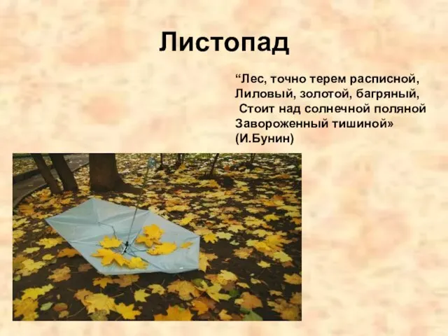 Листопад “Лес, точно терем расписной, Лиловый, золотой, багряный, Стоит над солнечной поляной Завороженный тишиной» (И.Бунин)