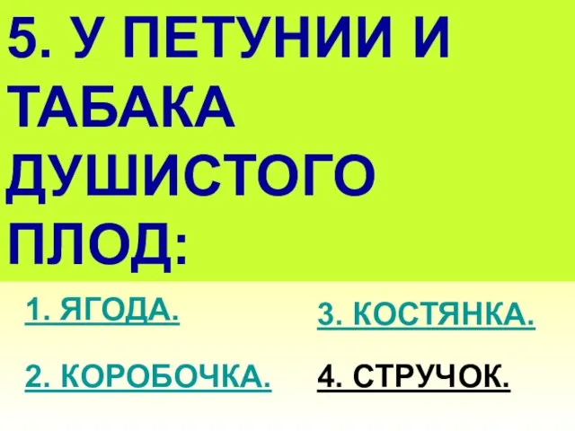 5. У ПЕТУНИИ И ТАБАКА ДУШИСТОГО ПЛОД: 1. ЯГОДА. 2. КОРОБОЧКА. 3. КОСТЯНКА. 4. СТРУЧОК.