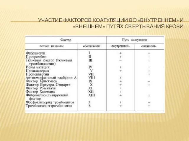 УЧАСТИЕ ФАКТОРОВ КОАГУЛЯЦИИ ВО «ВНУТРЕННЕМ» И «ВНЕШНЕМ» ПУТЯХ СВЕРТЫВАНИЯ КРОВИ