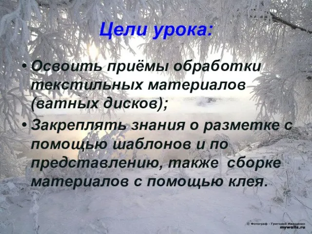 Цели урока: Освоить приёмы обработки текстильных материалов (ватных дисков); Закреплять знания