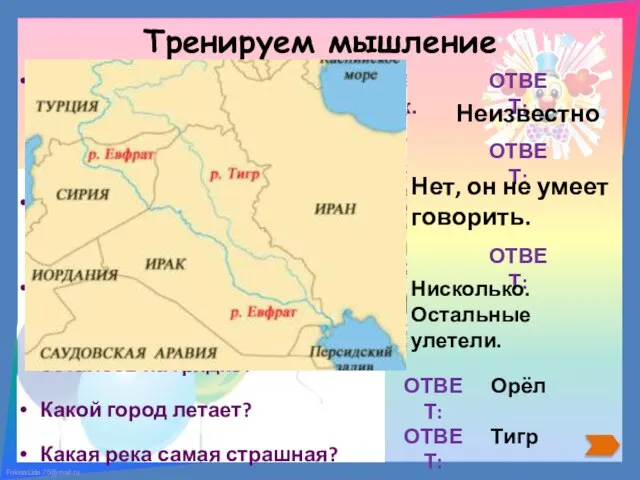 Тренируем мышление У мальчика в коробке было 7 мух. На две