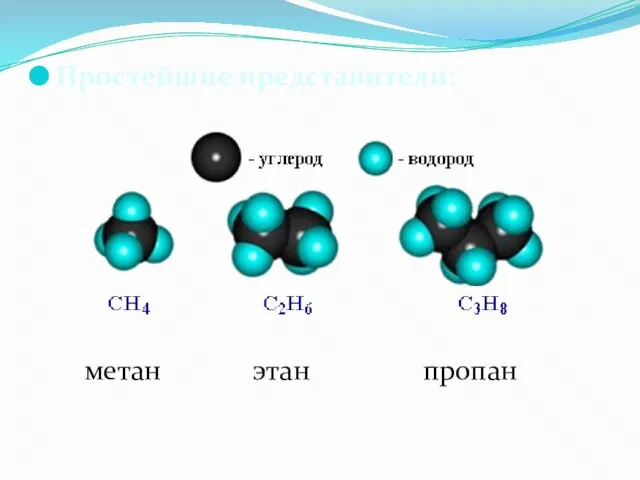 Простейшие представители: метан этан пропан