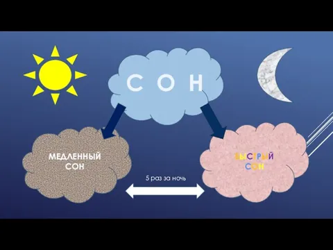 МЕДЛЕННЫЙ СОН БЫСТРЫЙ СОН С О Н 5 раз за ночь