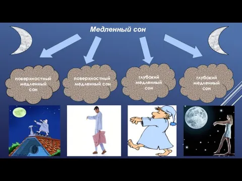 Медленный сон поверхностный медленный сон глубокий медленный сон глубокий медленный сон поверхностный медленный сон